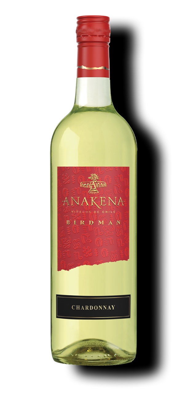 Birdman – Anakena