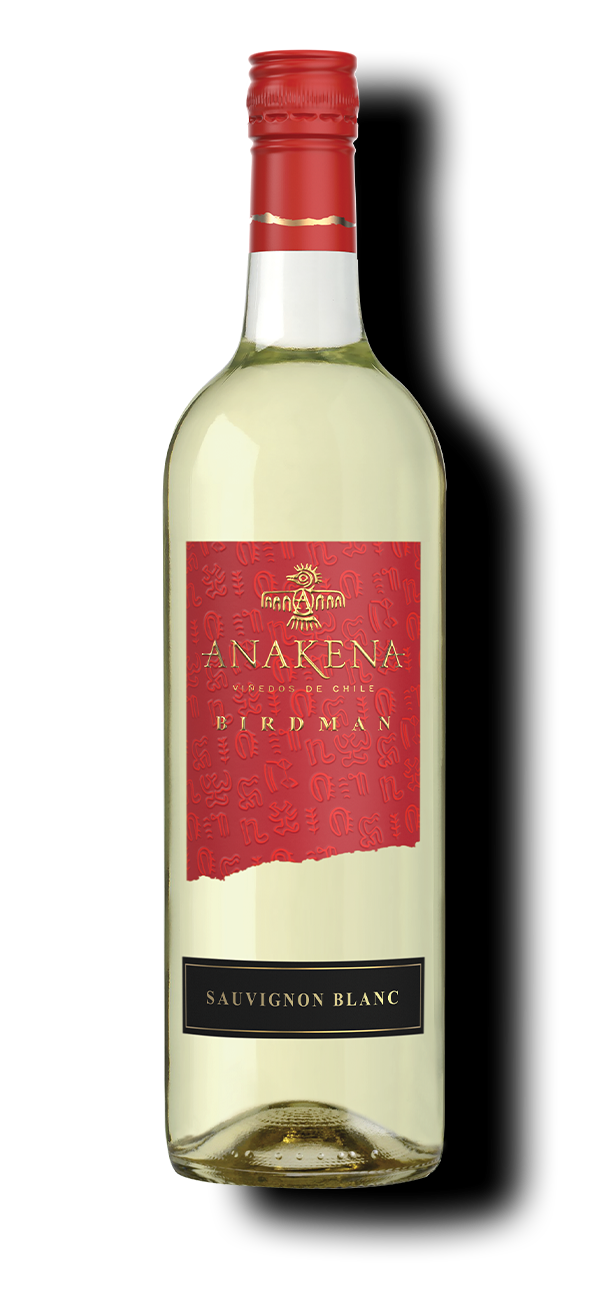 Birdman – Anakena